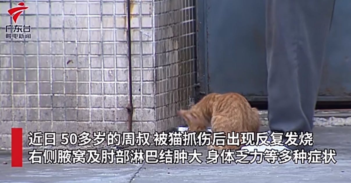 微信截图_20240320085638