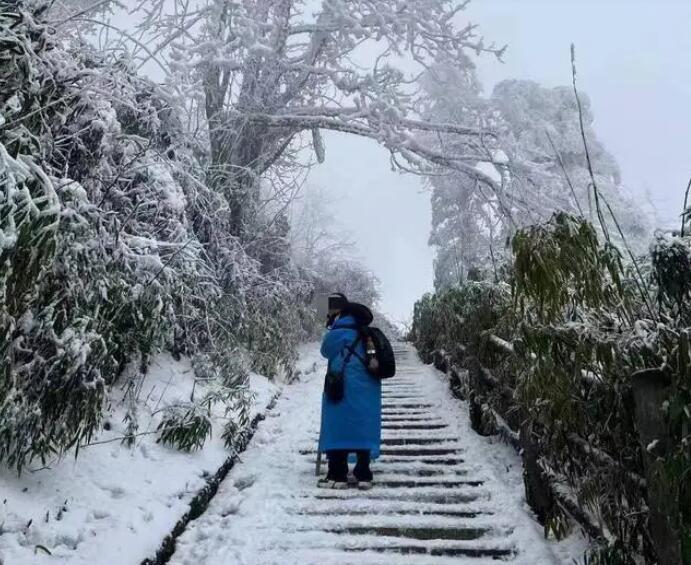 独游峨眉山失联女大学生已坠崖身亡