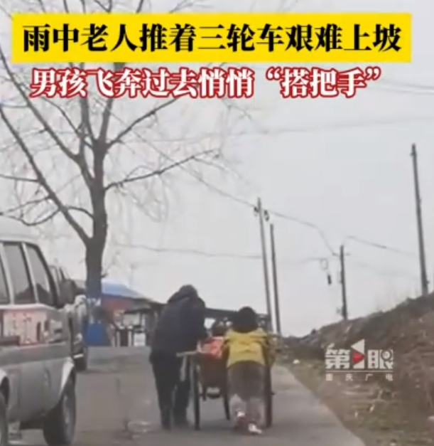 微信截图_20240326150118