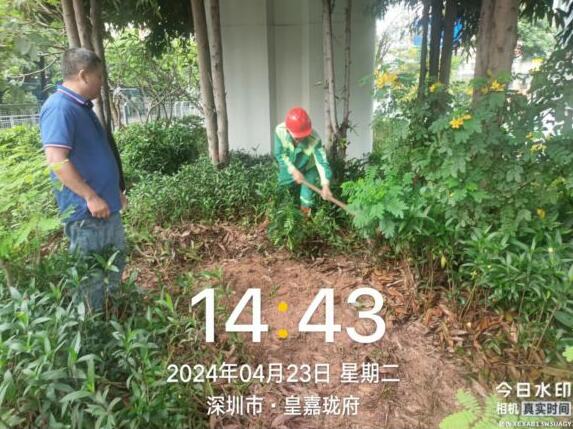 深圳龙华城管回应“暴雨天浇花”