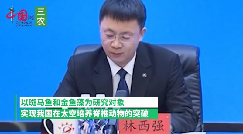 神十八航天员将在太空养鱼