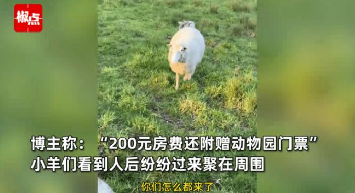 女子体验荷兰200元一晚的民宿