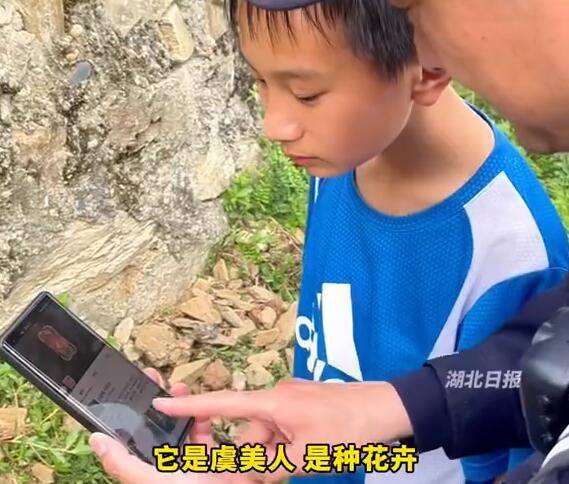 QQ截图20240425170750