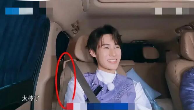 《奔跑吧》给艺人P安全带 