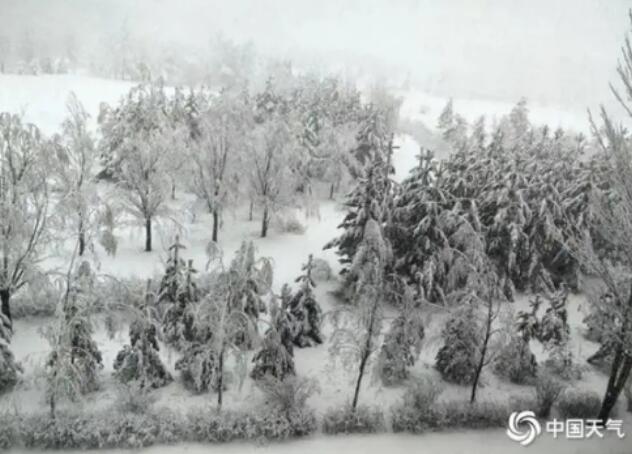 内蒙古突降大雪 送娃半路接停课通知