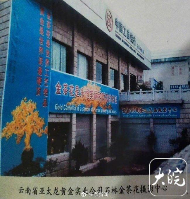 价值上亿的金茶花在银行离奇失踪 法院执行迷雾待解