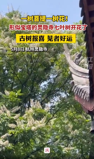 微信截图_20240509154031