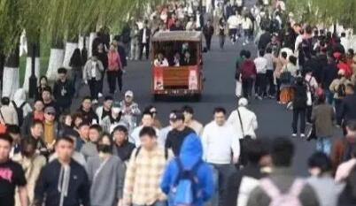 31省份人口数据:11省人口正增长