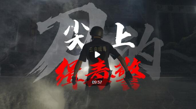这不是警匪片是他们的真实经历