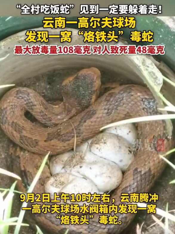 微信截图_20240903163113