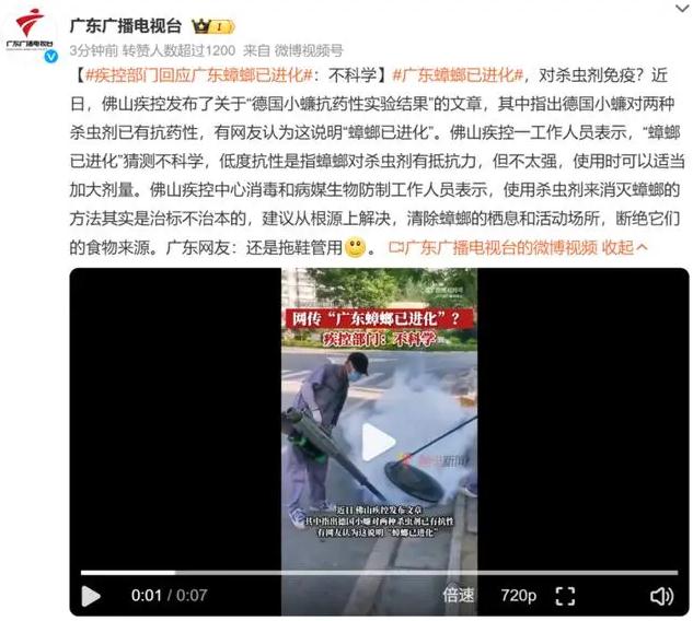 广东蟑螂已进化?疾控部门回应
