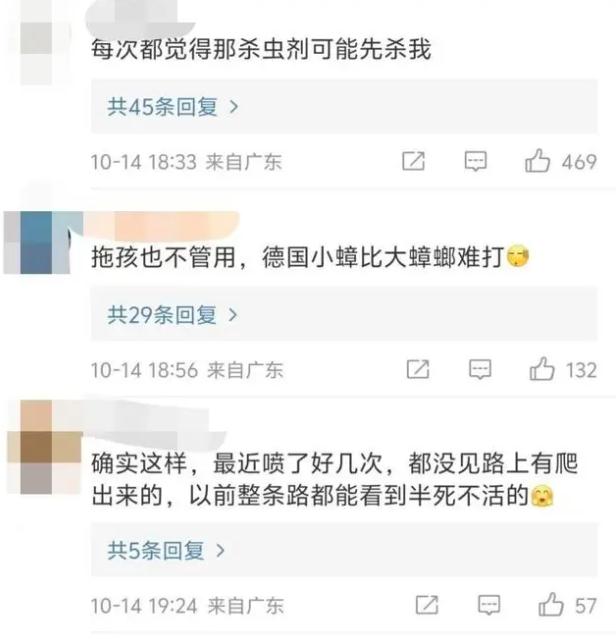 广东蟑螂已进化?疾控部门回应