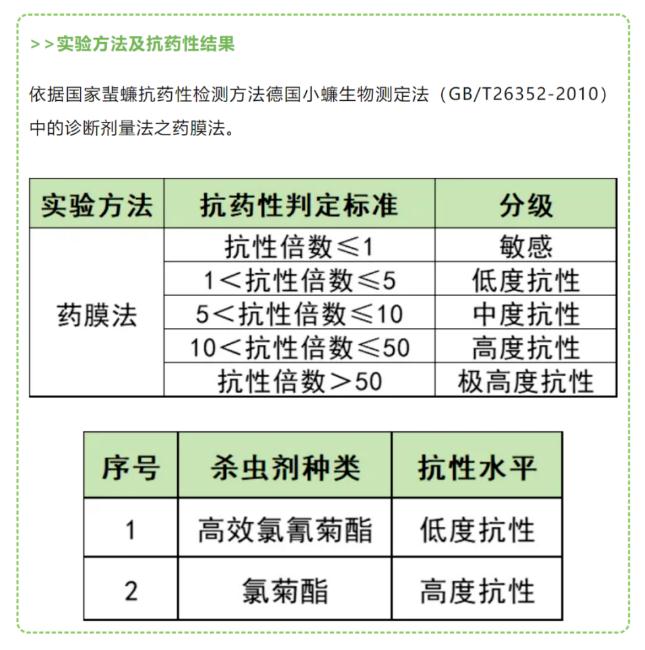 广东蟑螂已进化?疾控部门回应