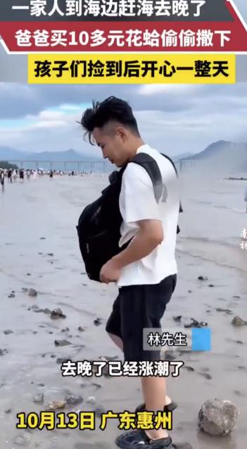 爸爸偷偷买花蛤撒海滩上让女儿捡