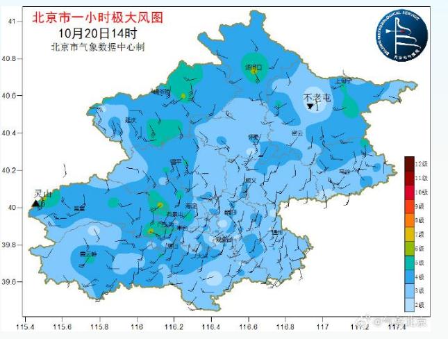 北京真的下雪了