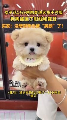 女子花18888元买泰迪 狗被画眼线